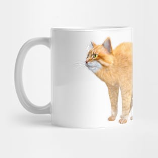 Big ginger cat of the Siberian breed. Mug